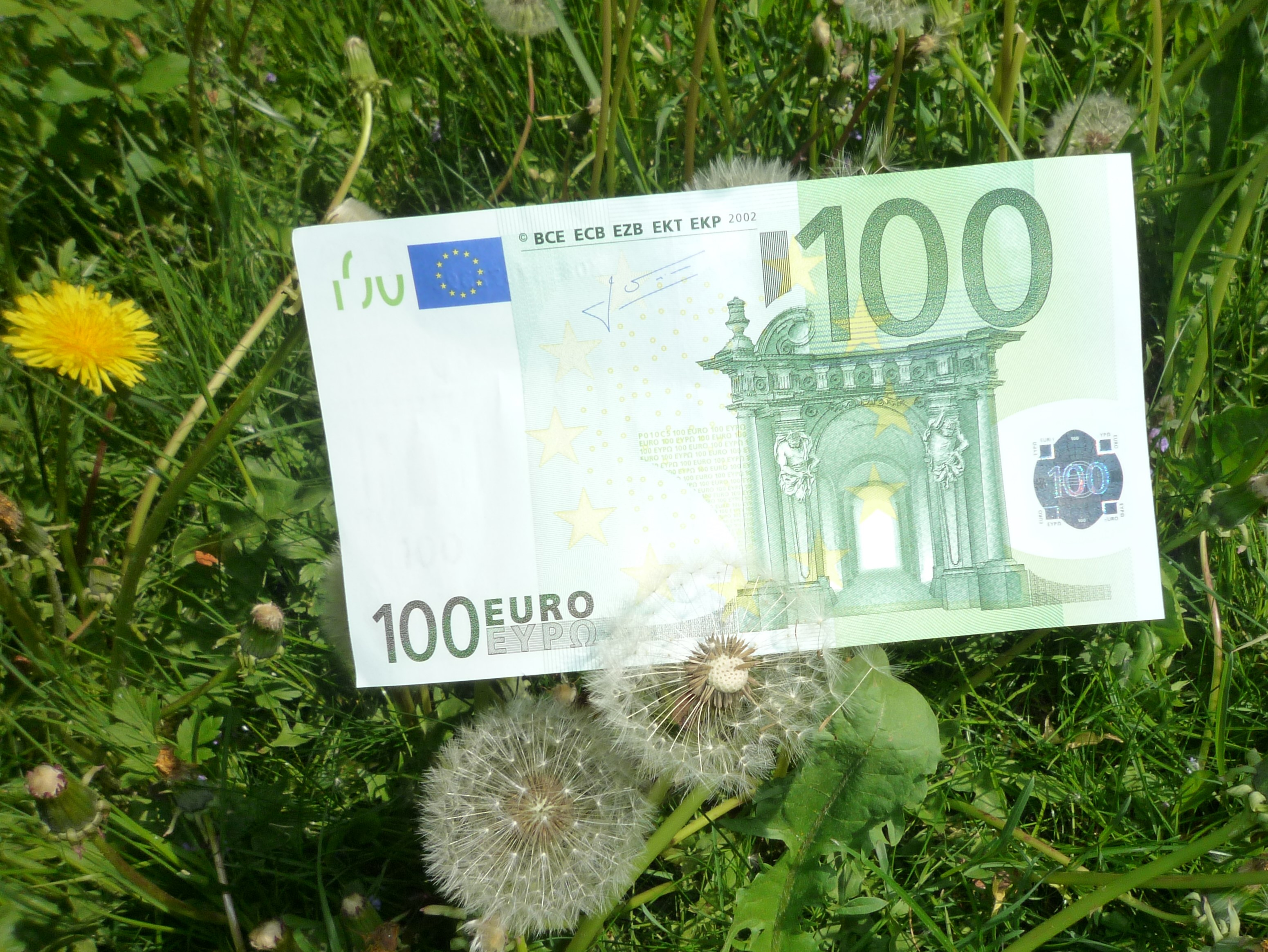 Geld